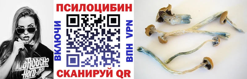 купить наркоту  Боровск  Галлюциногенные грибы Psilocybine cubensis 